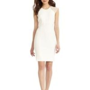 Ivory Andrew Marc Dress - 12